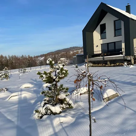 Villa Stodola 55 *