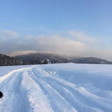 Stodola 55 * Milówka