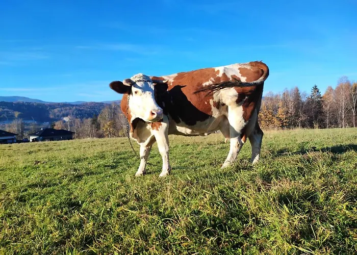 Βίλα Stodola 55 Milówka