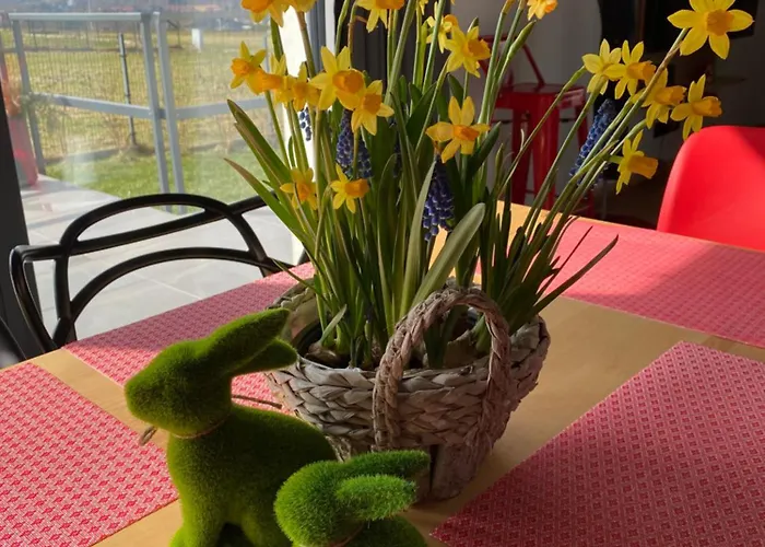 Stodola 55 فيلة ميلوفكا