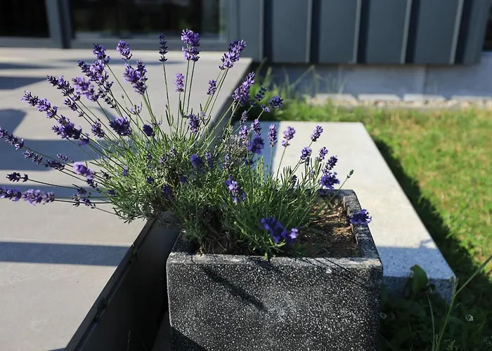 Βίλα Stodola 55 *