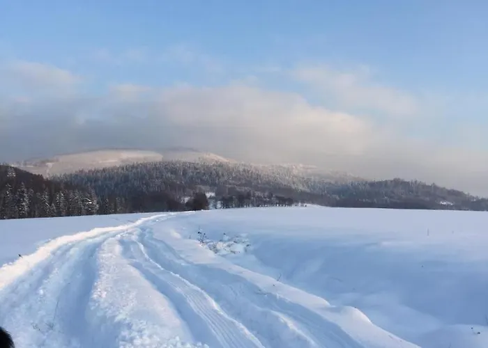 Stodola 55 * Milówka