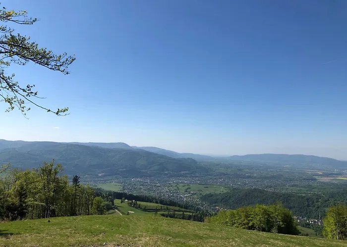 Stodola 55 * Milówka