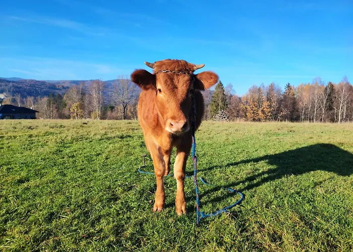 Stodola 55 Villa Milówka