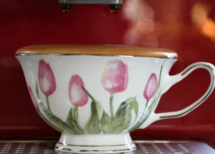 Stodola 55 Villa Milówka