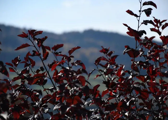 Stodola 55 Βίλα *