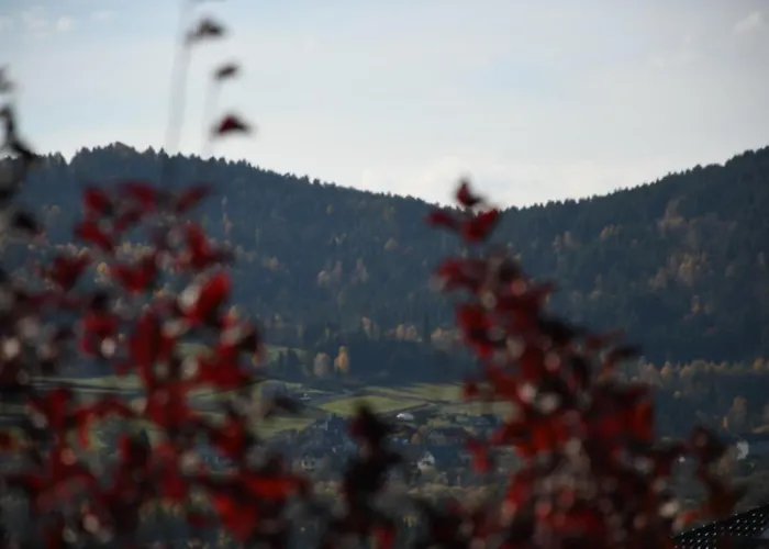 Stodola 55 Βίλα Milówka